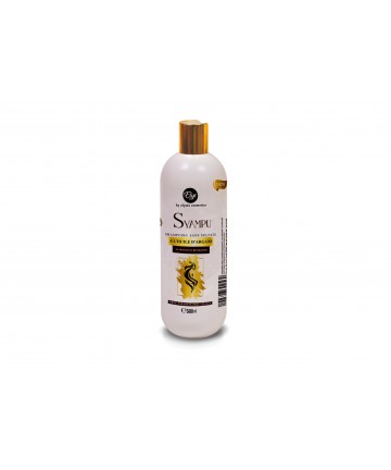 shampoing sans sulfates 500 ml
