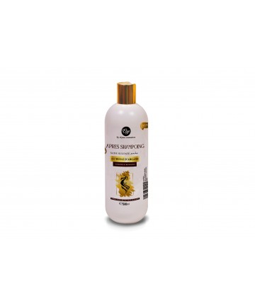 shampoing sans sulfate 500 ml